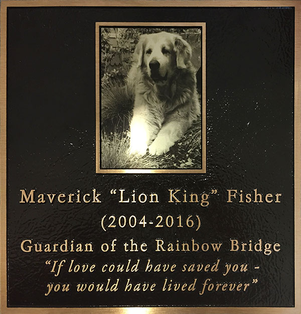 Maverick plaque